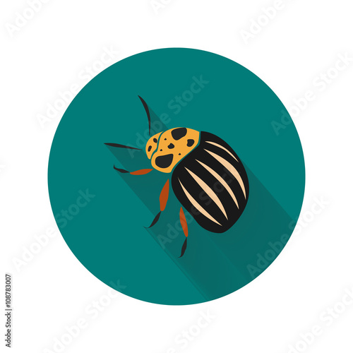 Colorado bettle color icon