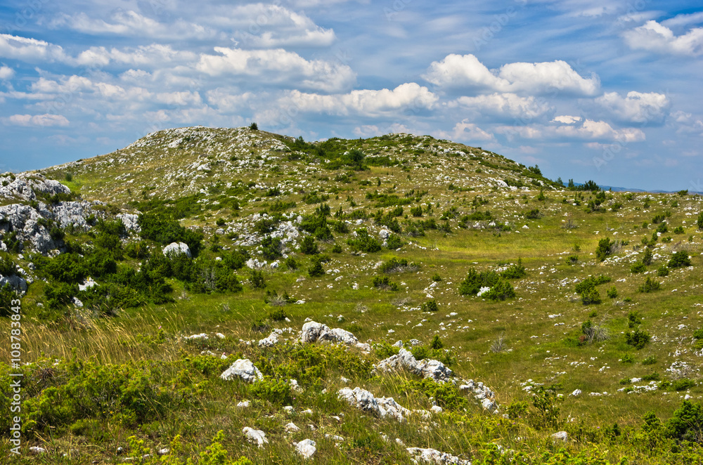 Panorama of Pester plateau landscape in southwest Serbia