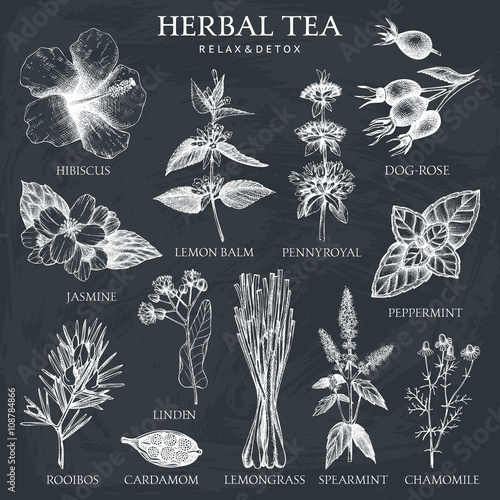 Botanical collection of hand drawn herbal tea ingredients. Decorative vector set of vintage medicinal herbs and spice sketch on chalkboard