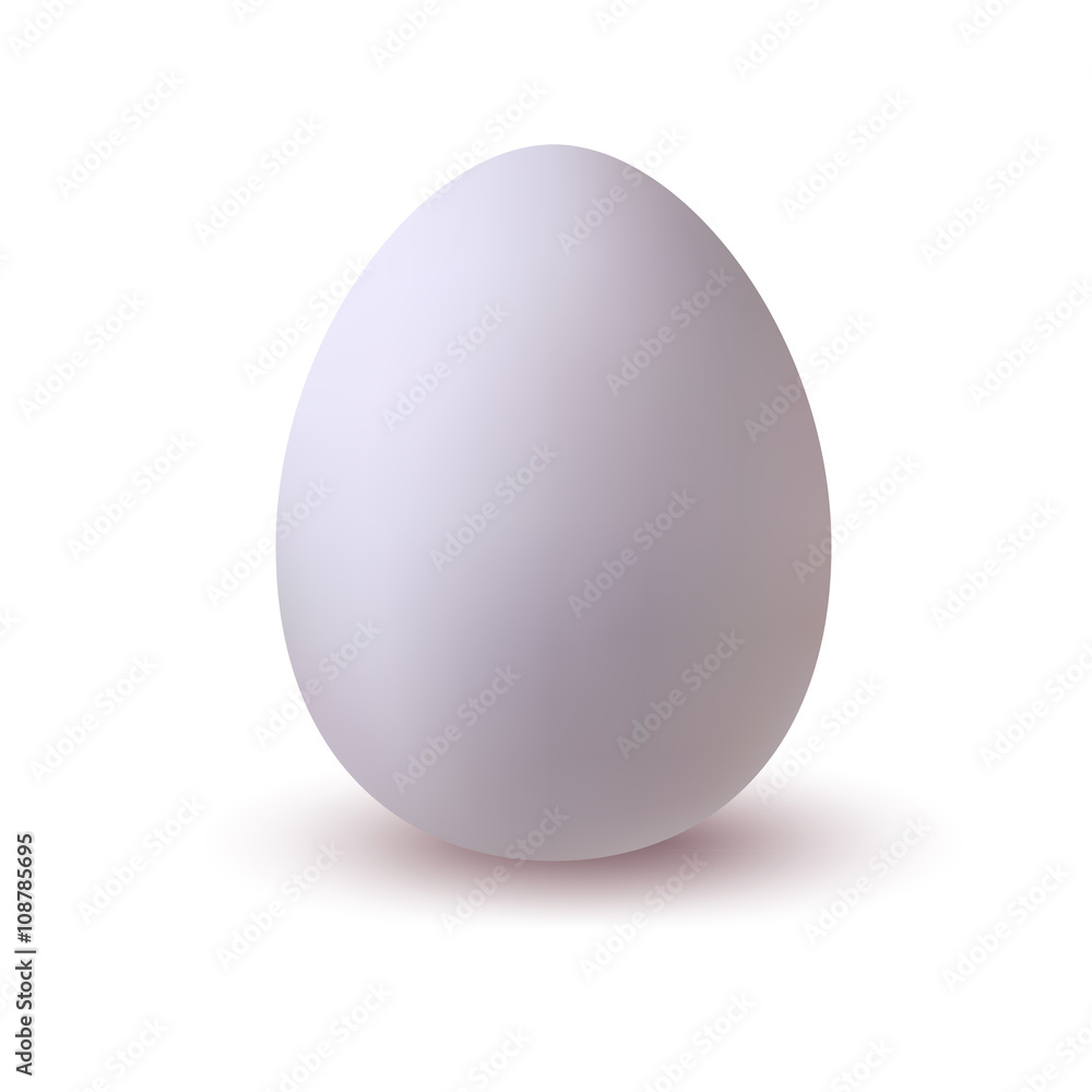 White egg vector illustration. Easter. Hen bird, reptile egg White egg vector illustration. Easter. Hen bird, reptile egg