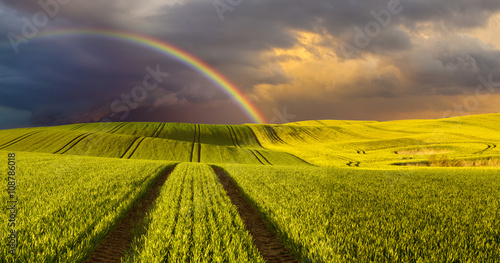 Panorama wiosennego pola   © Mike Mareen
