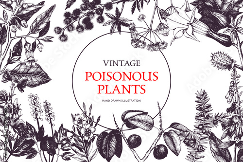 Vector design with hand drawn poisonous plants. Botanical illustration. Vintage noxious plants sketch background. Dangerous flowers retro template isolated on white.