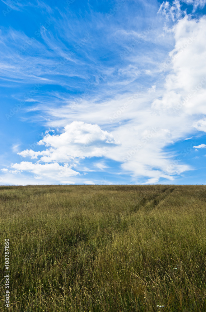 Blue sky above hill covered with dry prairie grass in Pester plateau, northwest Serbia