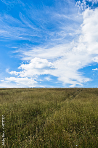 Blue sky above hill covered with dry prairie grass in Pester plateau  northwest Serbia