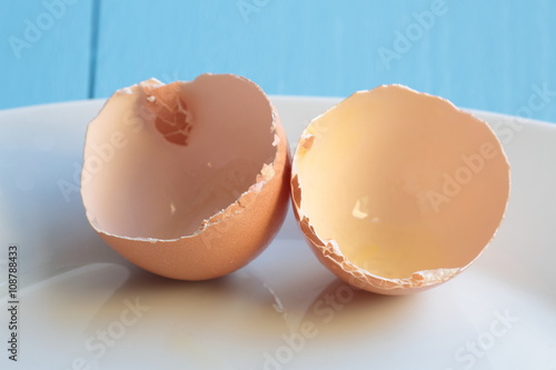 Organic chicken egg