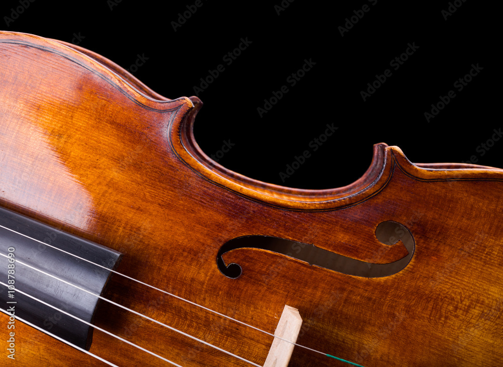 Close view of a violin strings and waist Close view of a violin strings and waist
