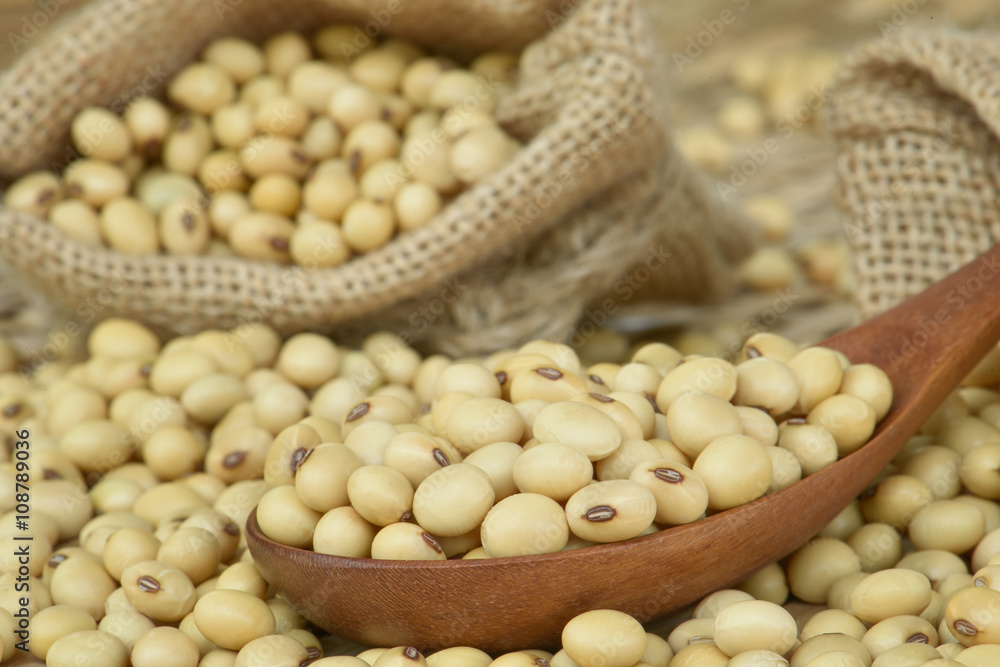 Close up soy bean on wooden spoon Close up soy bean on wooden spoon