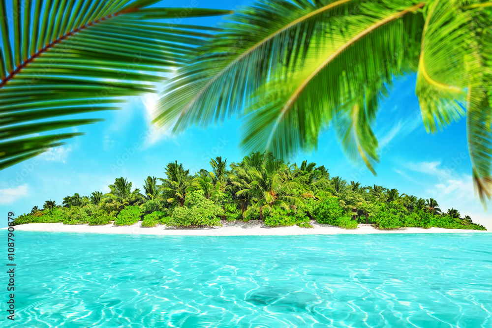 Fototapeta Cała tropikalna wyspa w atolu w tropikalnym oceanie. Niezamieszkaj