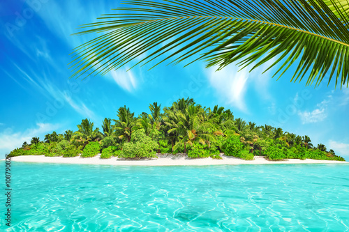 Fototapeta Naklejka Na Ścianę i Meble -  Whole tropical island within atoll in tropical Ocean. Uninhabite