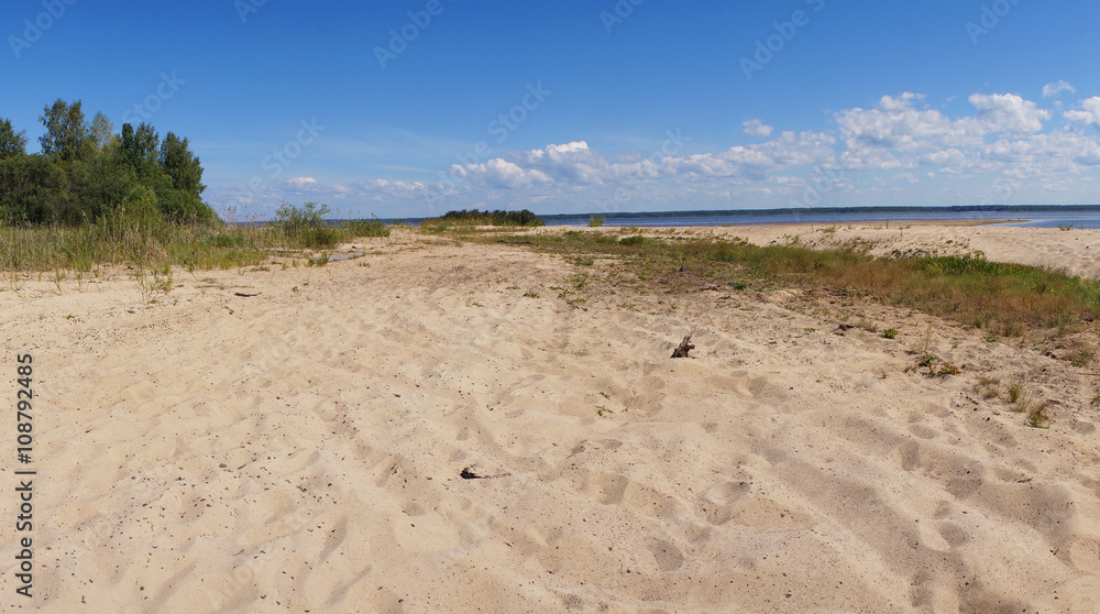 Sandy wild beach in the summer.