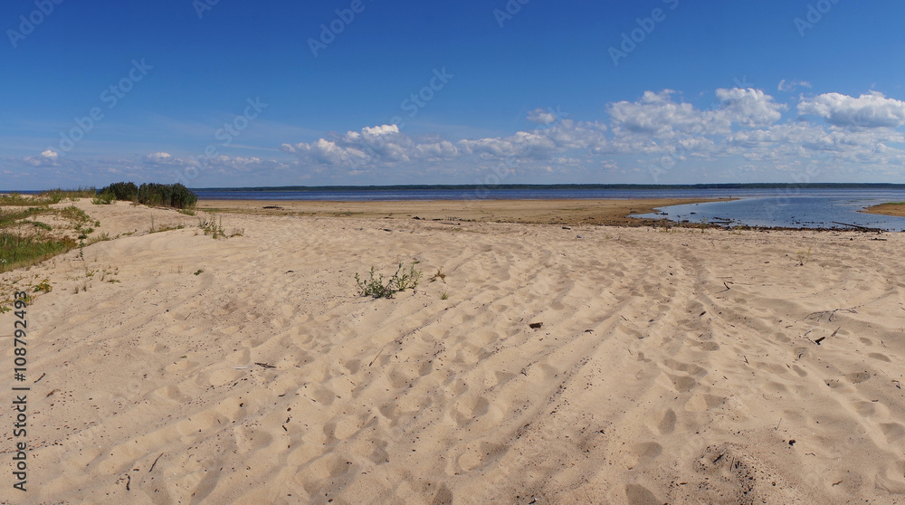 Sandy wild beach in the summer.