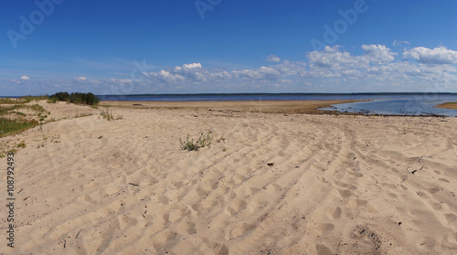 Sandy wild beach in the summer.