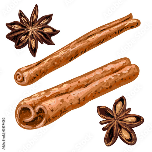 Anice stars and cinnamon sticks. Kitchen herbs and spices. Vector illustration. Sketch