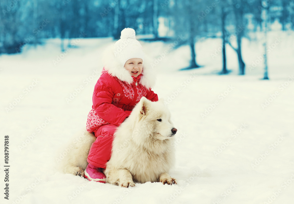 сhild and white Samoyed dog walking in winter day