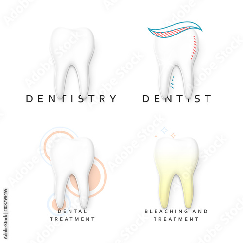 Set of 4 teeth realistic isolated on white background