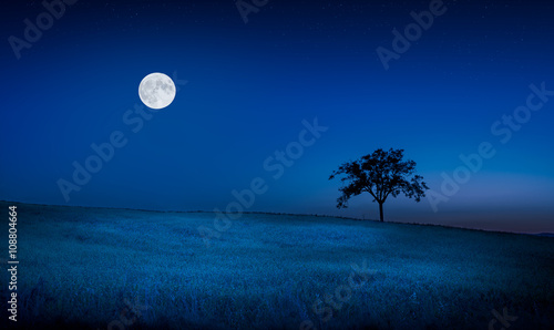 Obraz na plátně Moon over a meadow