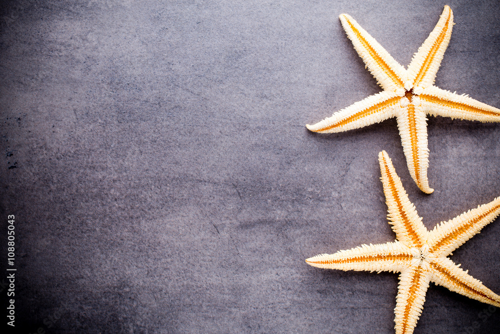 Starfish. Starfish.