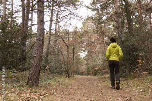 Caminando en el bosque, Pirineos Aragones, España