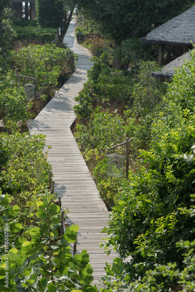 wooden walkway in mangrove forest wooden walkway in mangrove forest