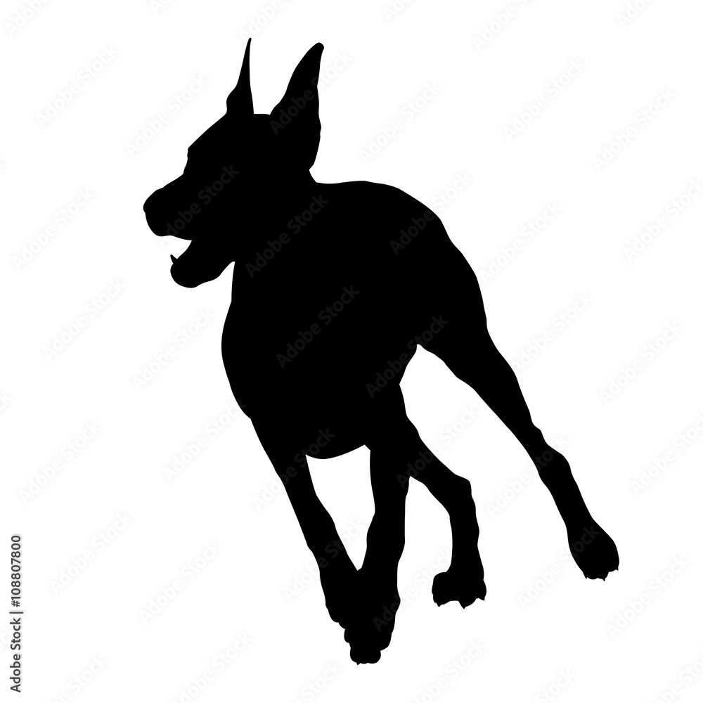 Doberman running black silhouette 