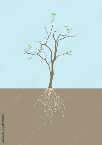 Graphic illustration of tree with root