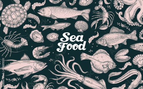 seafood. hand drawn underwater world. vector sketch