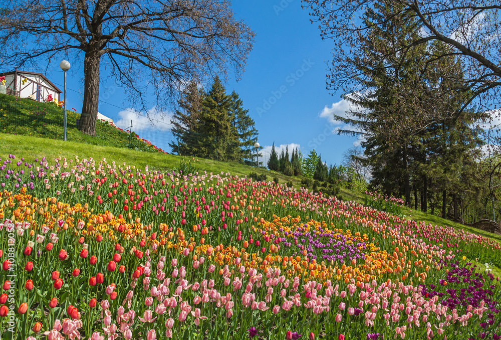 KIEV, UKRAINE-Flower Show Landscape Park in Kiev