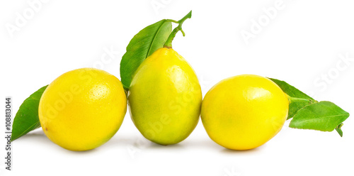 Three lemons on a white background