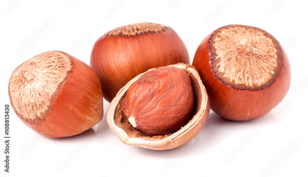 Four hazelnuts isolated on white background close-up macro Four hazelnuts isolated on white background close-up macro
