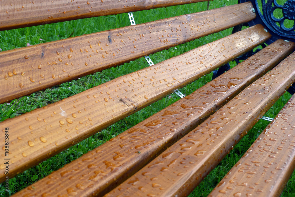 Fototapeta premium Abgeperlt