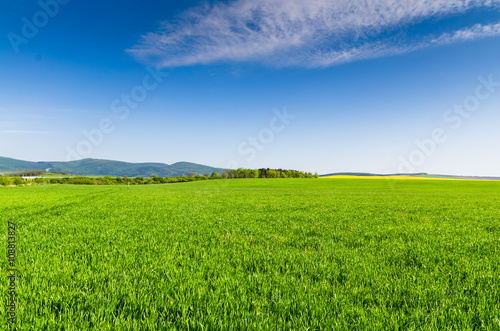 Green field and blue sky © klagyivik