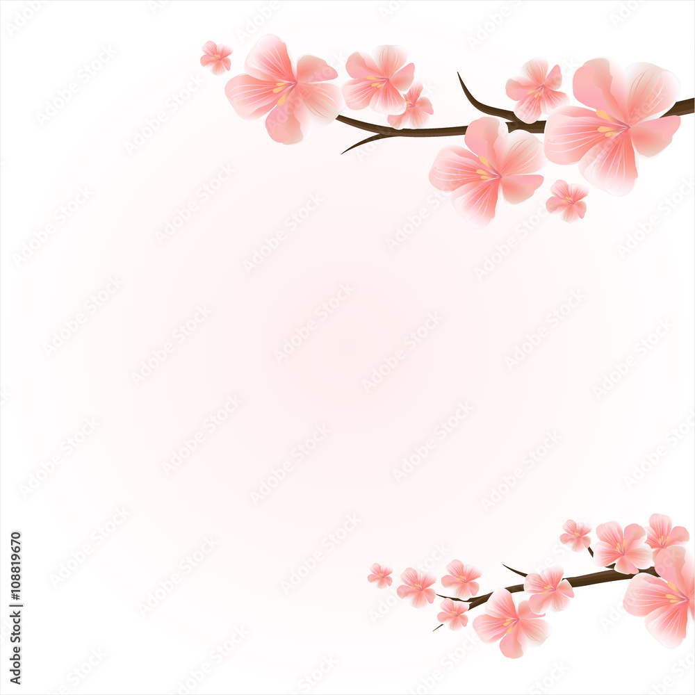 Branches of sakura with flowers. Cherry blossom branches isolated on light-pink. Vector