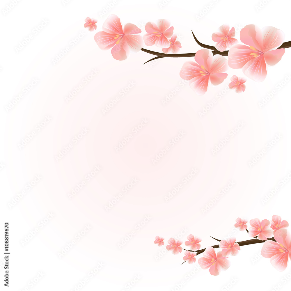 Branches of sakura with flowers. Cherry blossom branches isolated on light-pink. Vector Branches of sakura with flowers. Cherry blossom branches isolated on light-pink. Vector