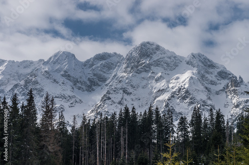 Tatra mountains, Mieguszowiecki peak in winter over conifer forest © tomeyk