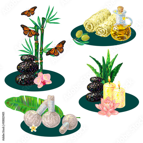 Spa emblems. Spa Icon set with candle, rock stone, salt, essential oil, aloe Vera, orchid, lotus, towel, flower, olive