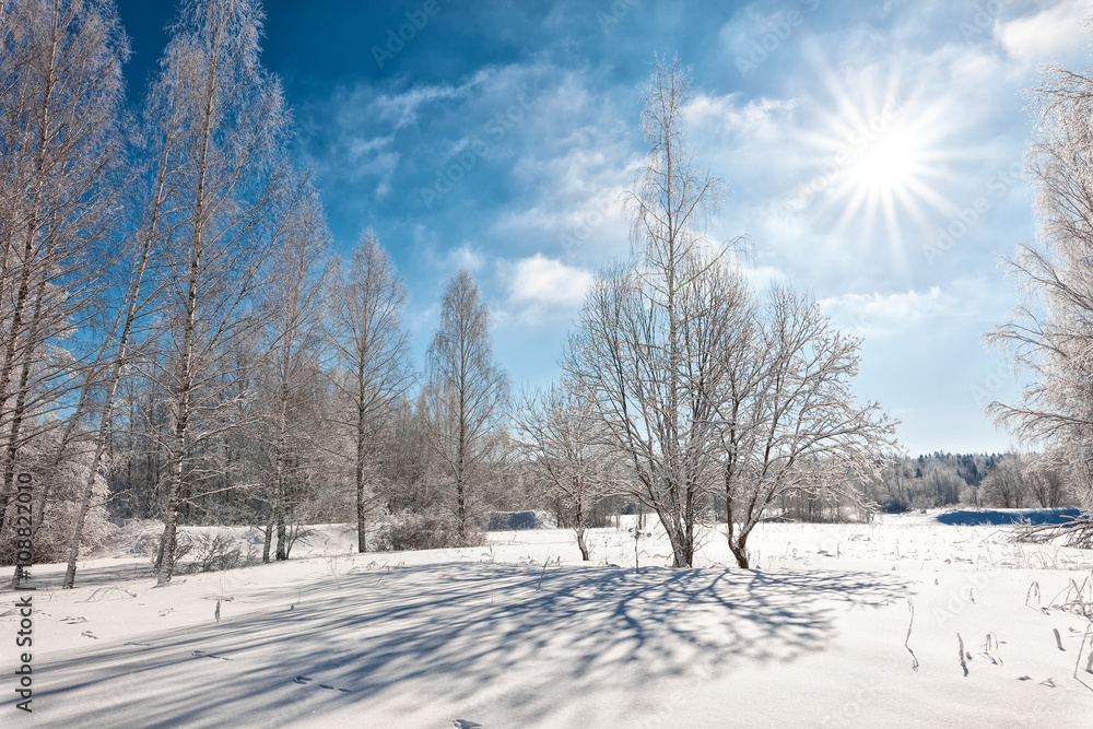 Fototapeta premium Winter landscape