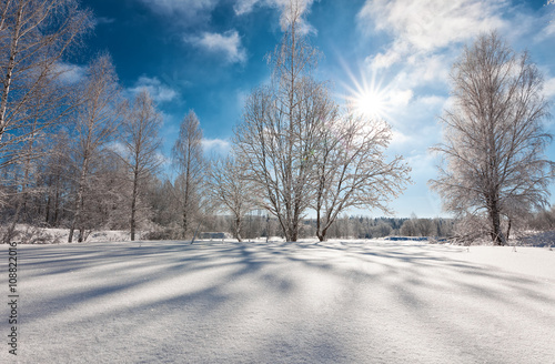 Winter landscape © mikelaptev