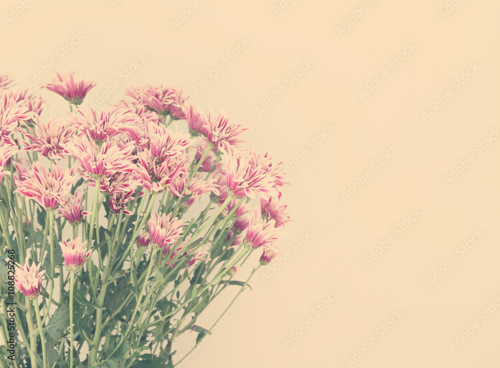 Colorful flowers with soft blur in the pastel vintage retro tone