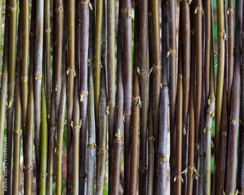Fence. For background Fence. For background