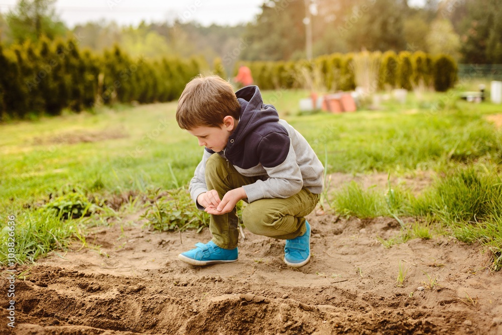 Child sowing vegetables in the home garden. Child sowing vegetables in the home garden.