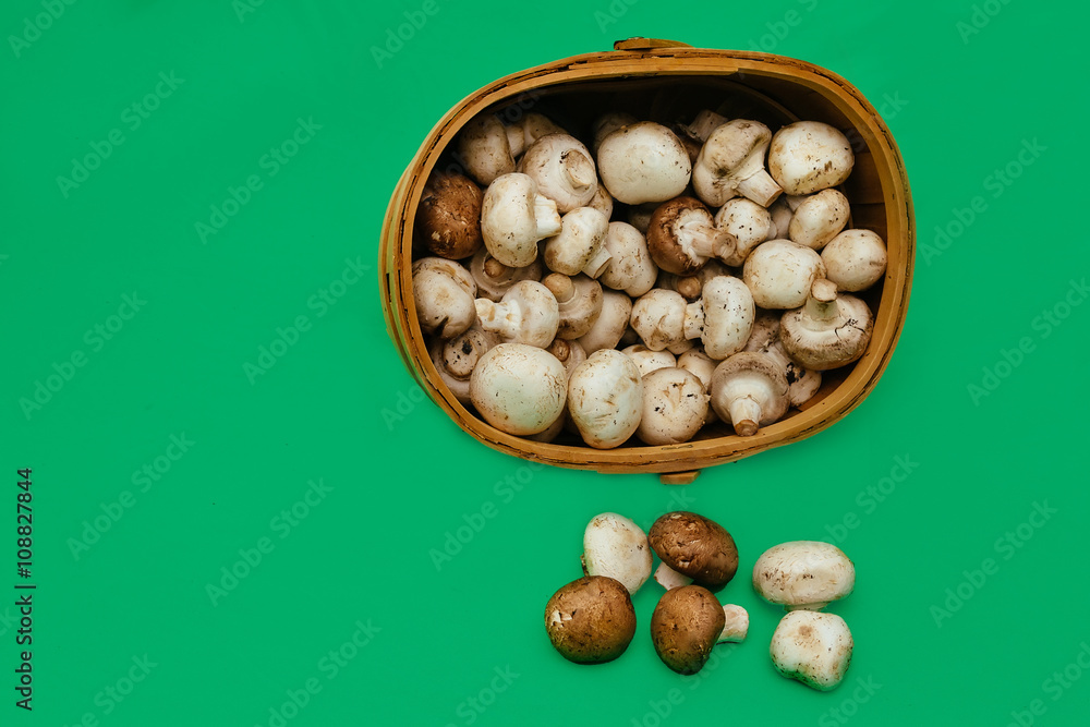 green background mushrooms basket Brown champignon green background mushrooms basket Brown champignon