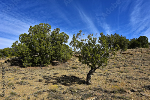 Colorado - Naturschutzgebiet Dominguez-Escalante photo