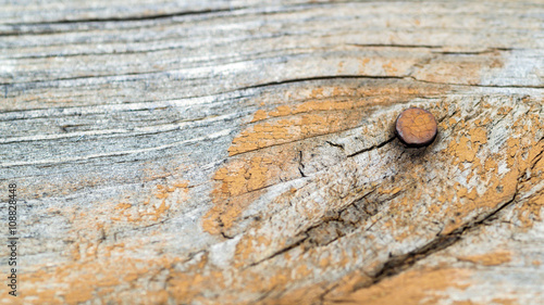 Rusty Nail Head Closeup in Aged Wood