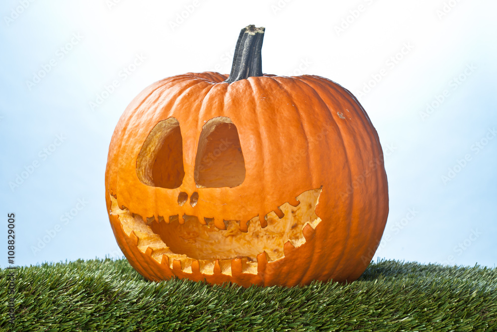 Obraz premium carved pumpkin