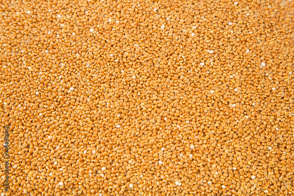 Millet cereal grains background Millet cereal grains background