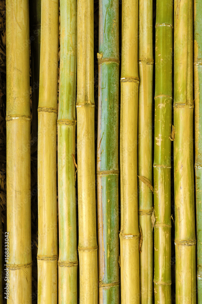 Fototapeta premium Old bamboo sticks fence wall background vertical photo