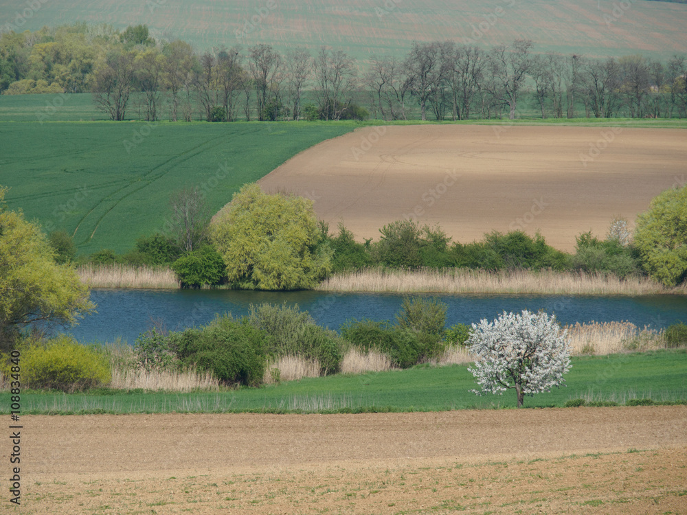 spring country in Slovakia with field, lake and trees