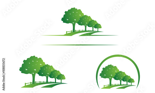 oak, tree, leaf vol.2 logo design