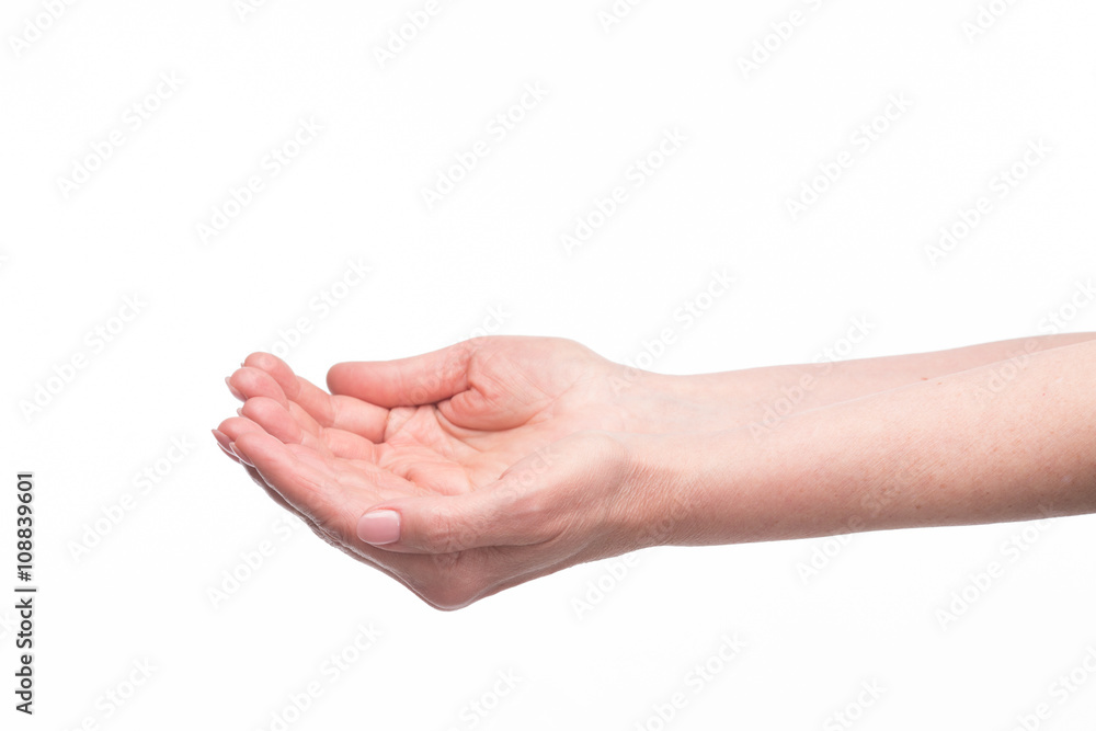 Woman's palm up Woman's palm up