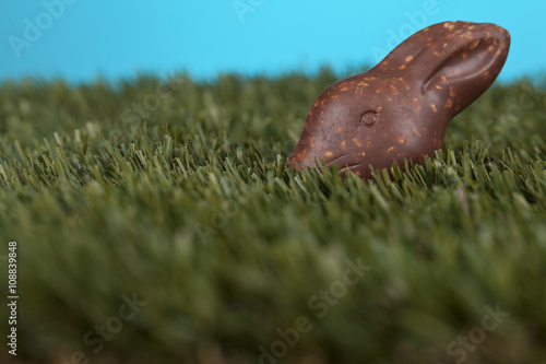 chocolate rabbit hiding in the grass